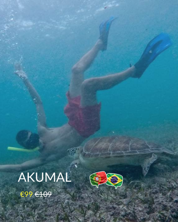 Tour em Akumal com nado com tartarugas marinhas em águas cristalinas do Caribe.