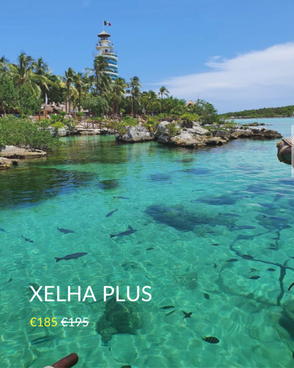 Xel-Há All Inclusive em Xel-Há com snorkeling ilimitado, rio, comida e bebidas incluídas na Riviera Maya.