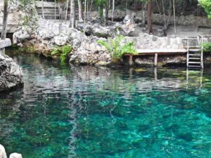 Cenote em ambiente tropical