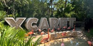 00f66ed3ce6a75d376a342162fe54d2c