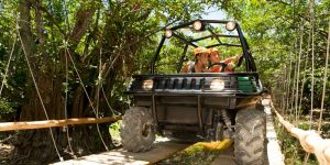 08_anfibioselva_Xplor