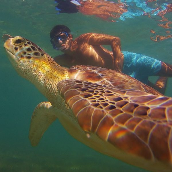 Experiência de snorkeling em Akumal com a Exploratours na Riviera Maya