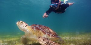 204741_10152056987671758_151786521_o