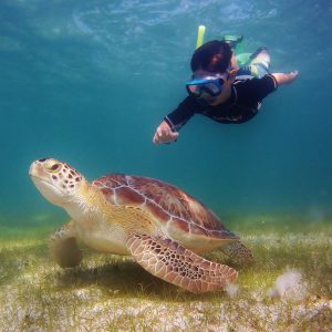 204741_10152056987671758_151786521_o