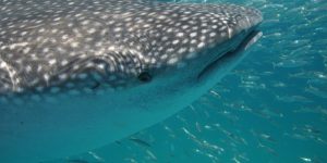 242263_10150197470926758_8160896_o