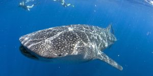 259359_10150197473481758_6965259_o