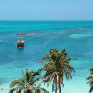 621099_10151915457131758_4695086_o (1)