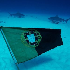 665622_10152032836606758_1438254032_o