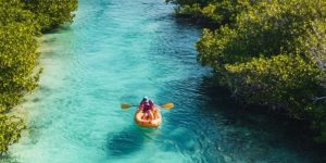 68d49ab47a11787888b1afed311a1ade