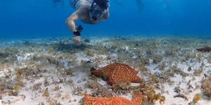 81ebdd08ca7713a462ffcf8f31b1abe7