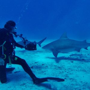 861387_10152165899711758_1426651888_o