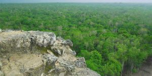 COBA + XCARET ALEX 045 (Medium)