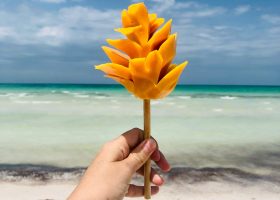 Manga cortada em forma de flor em Holbox, com apresentação tropical colorida.