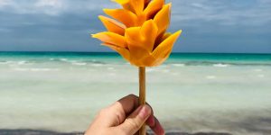 Manga cortada em forma de flor em Holbox, com apresentação tropical colorida.