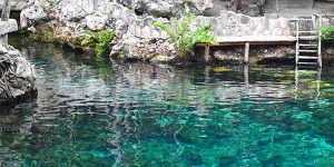 cenote tortuga 01 destaque