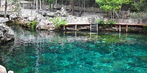 cenote tortuga 01