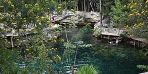 cenote tortuga 03 destaque