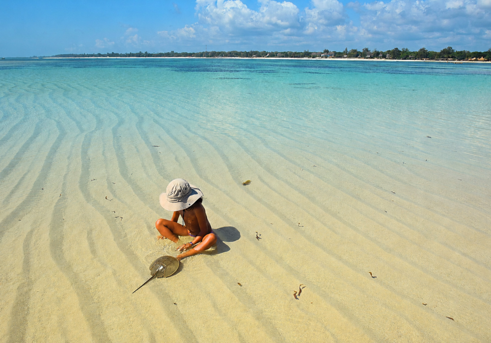 menina sentada na agua de holbox com um carangrejo