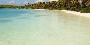 isla-contoy-04