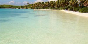 isla contoy