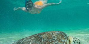tartarugas-akumal