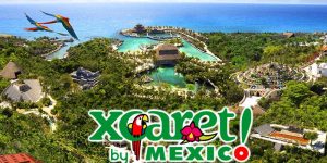 xcaretaereal